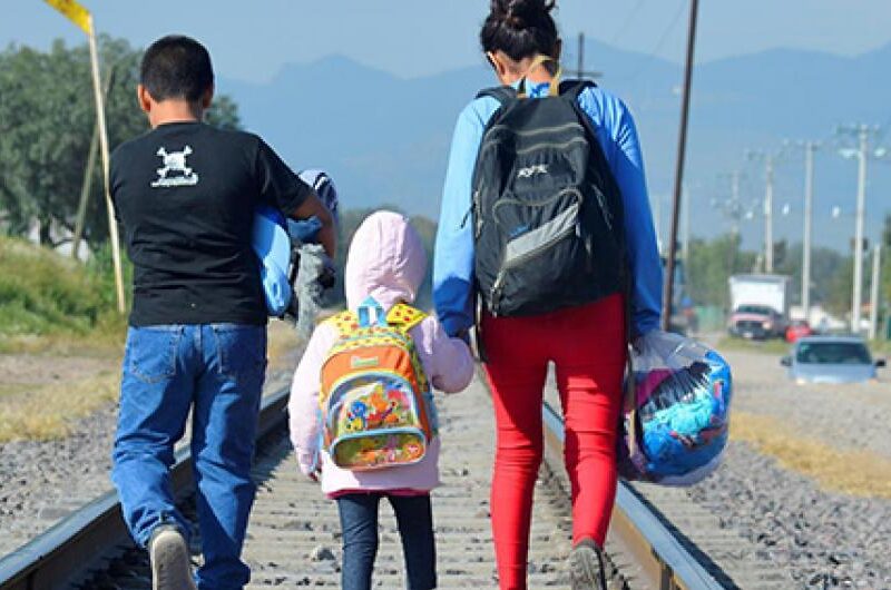 Publicará ONU informe de recomendaciones para México sobre derechos de migrantes