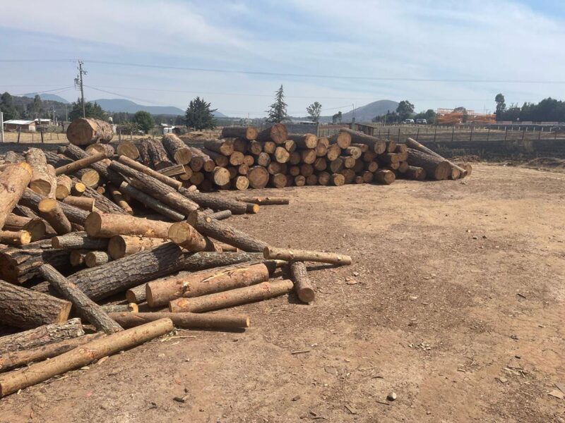 Realiza FGE cateo en predio de Irimbo