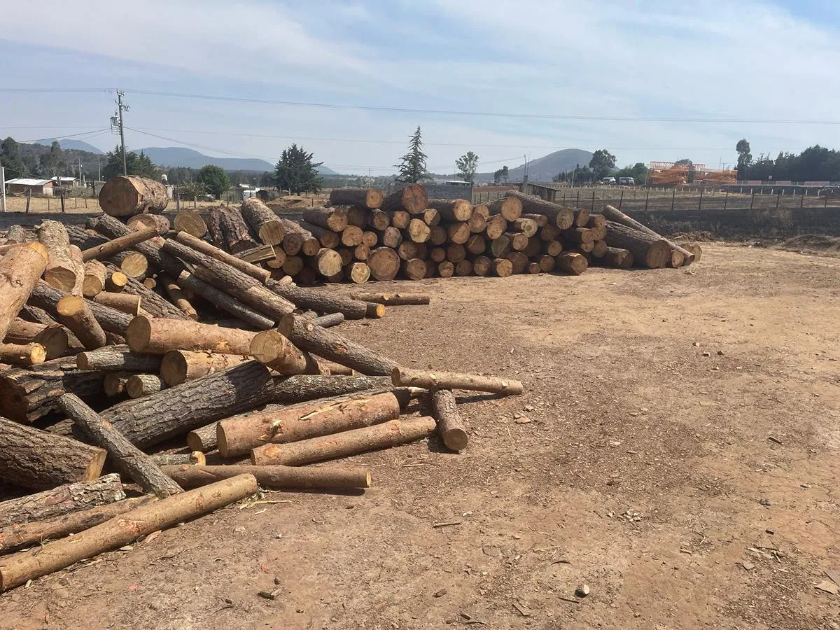Realiza FGE cateo en predio de Irimbo
