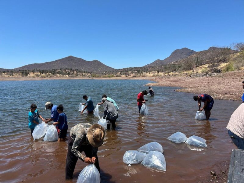 Respalda Compesca al sector acuícola en Tierra Caliente