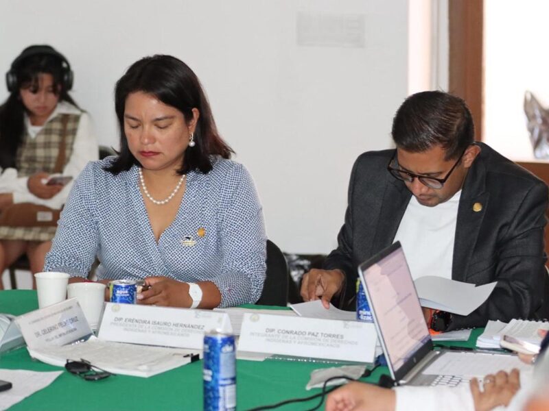 Respaldan diputados iniciativa ciudadana sobre Derechos Lingüísticos de los pueblos indígenas de Michoacán