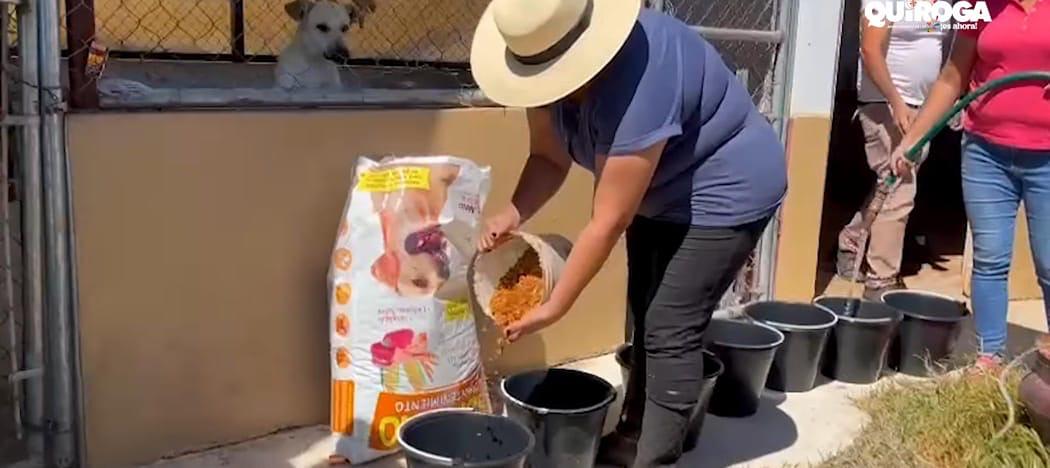 Reviven el Centro de Atención y Control Canino de Quiroga tras años de abandono