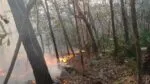 Incendios forestales en México afectan más de 39 mil hectáreas