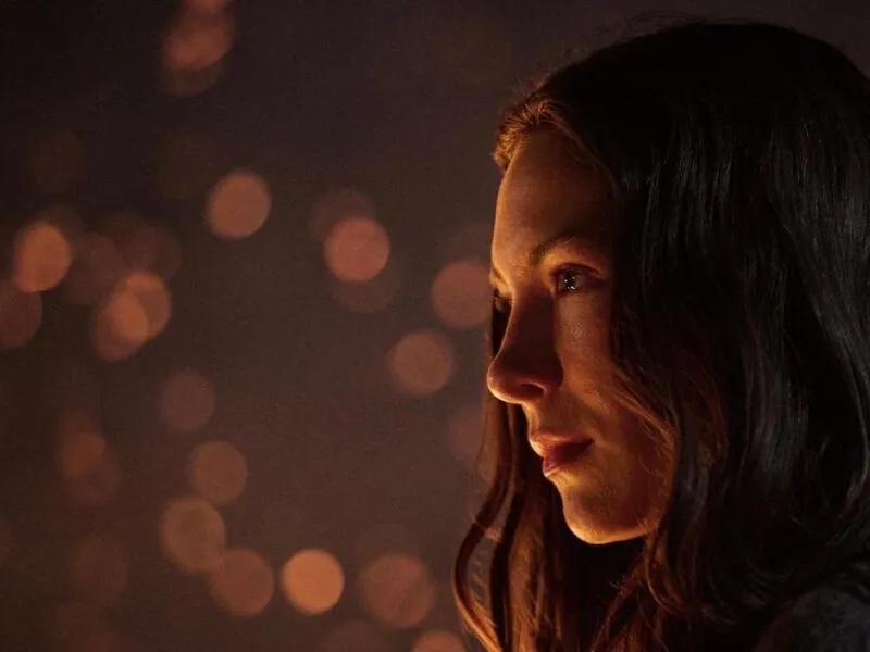 Series Netflix 2025: Estrenos El jardinero y La cúpula de cristal que debes maratonear