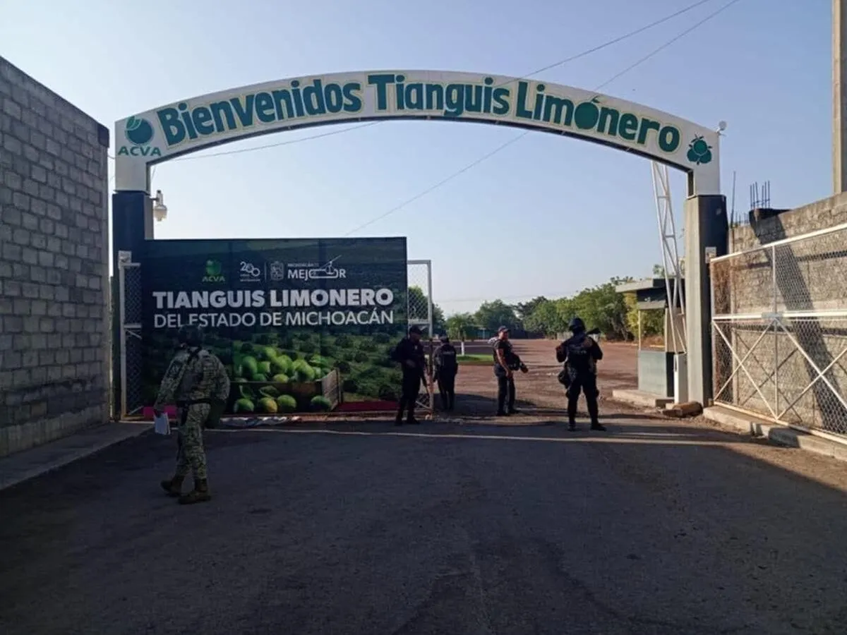 Tianguis del limón michoacano garantiza el abasto