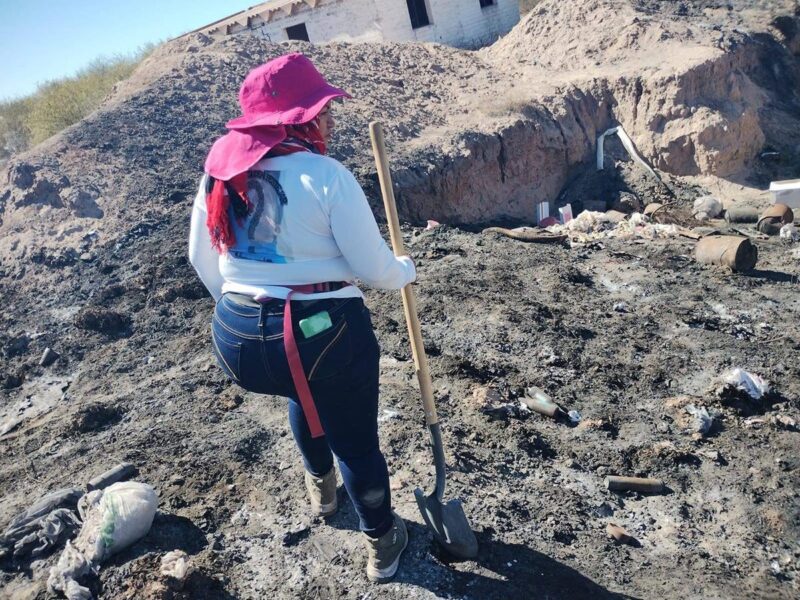 Urge Amnistía Internacional al Senado, renovar Consejo de Búsqueda