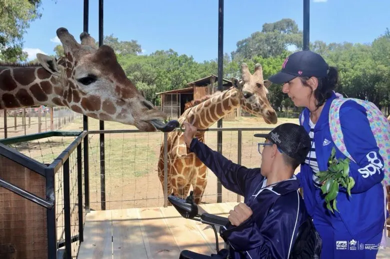 Vacaciones en Morelia: Vive Experiencias Inolvidables en el Zoológico Benito Juárez