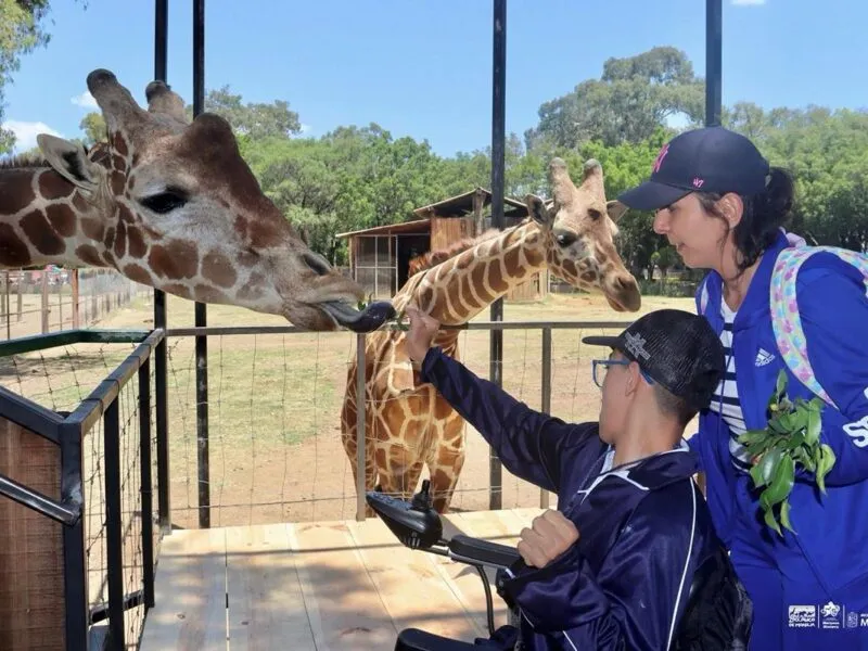Vacaciones en Morelia: Vive Experiencias Inolvidables en el Zoológico Benito Juárez