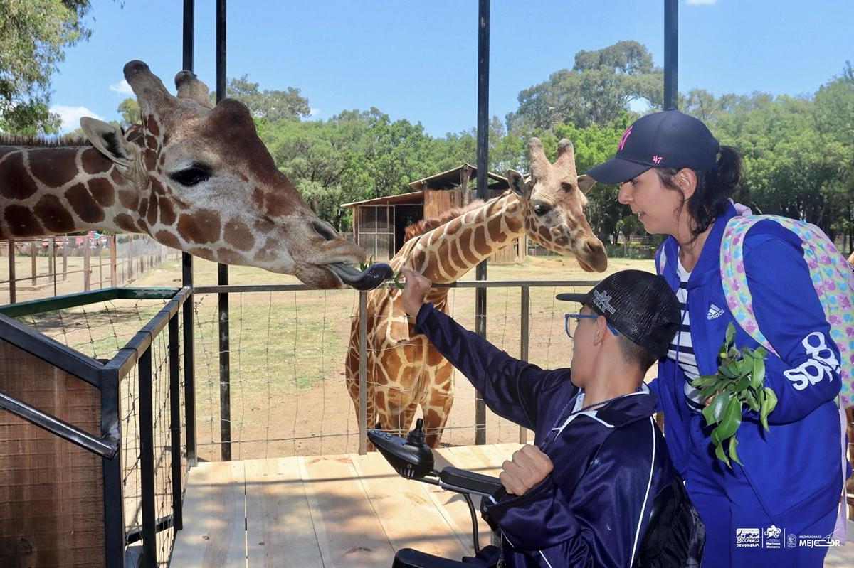 Vacaciones en Morelia: Vive Experiencias Inolvidables en el Zoológico Benito Juárez