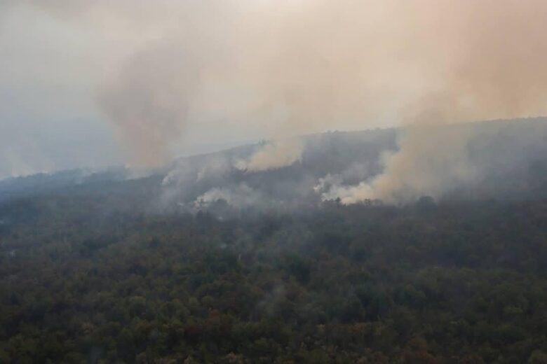 Zacapu combate incendio forestal de Tiríndaro y Naranja de Tapia 2
