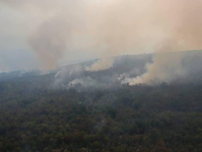 Zacapu combate incendio forestal de Tiríndaro y Naranja de Tapia 2