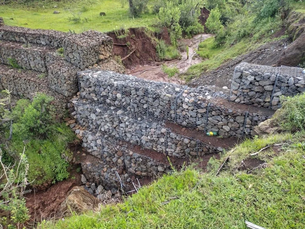 Agrosano refuerza conservación del lago de Pátzcuaro y sus manantiales