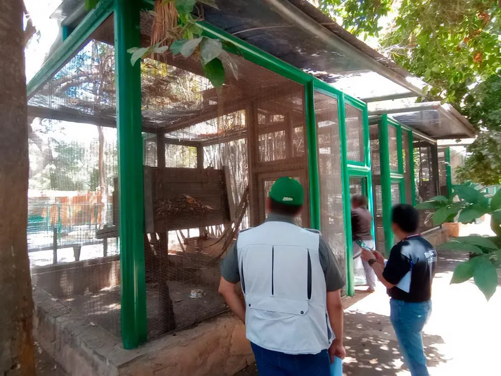 Animales en zoológico de Culiacán son retirados por maltrato