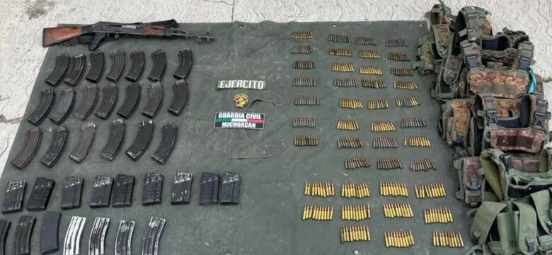 Armamento asegurado por las SSP