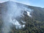 Atendido incendio forestal en zona del bosque de la Mariposa Monarca: Cofom
