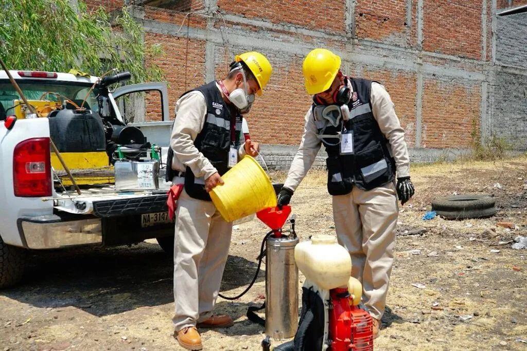 Bajan 65 % casos de dengue en Michoacán
