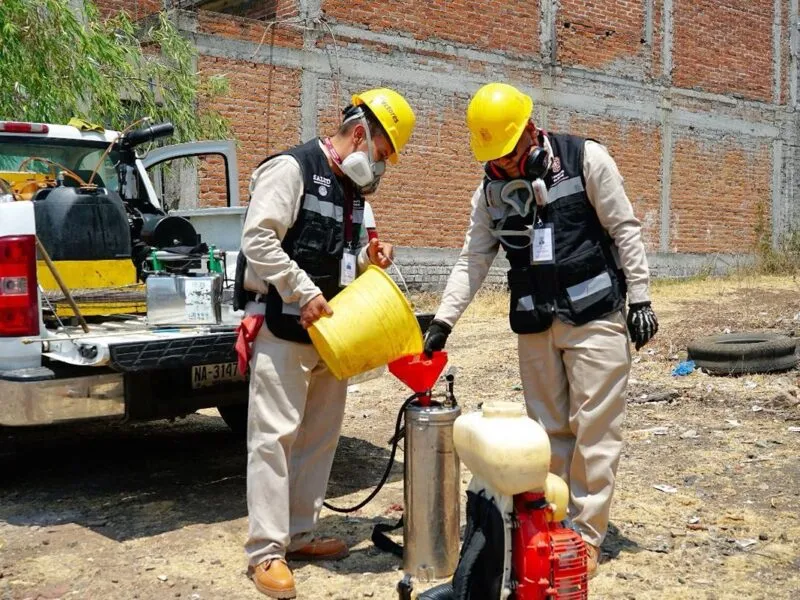 Bajan 65 % casos de dengue en Michoacán