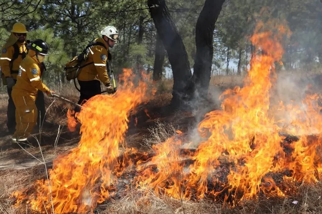 Brigadas forestales apagan 7 incendios en Michoacán: Cofom