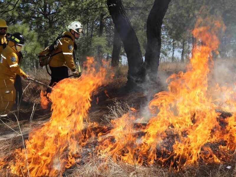 Brigadas forestales apagan 7 incendios en Michoacán: Cofom