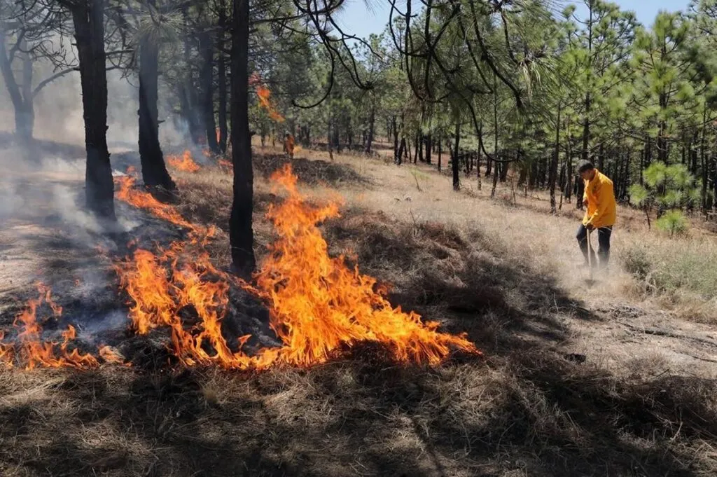 Brigadas forestales apagan cuatro incendios en Michoacán