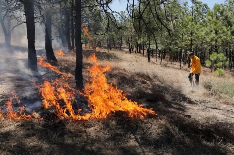 Brigadas forestales apagan cuatro incendios en Michoacán
