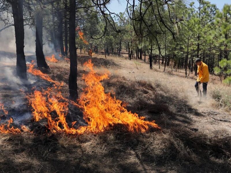 Brigadas forestales apagan cuatro incendios en Michoacán