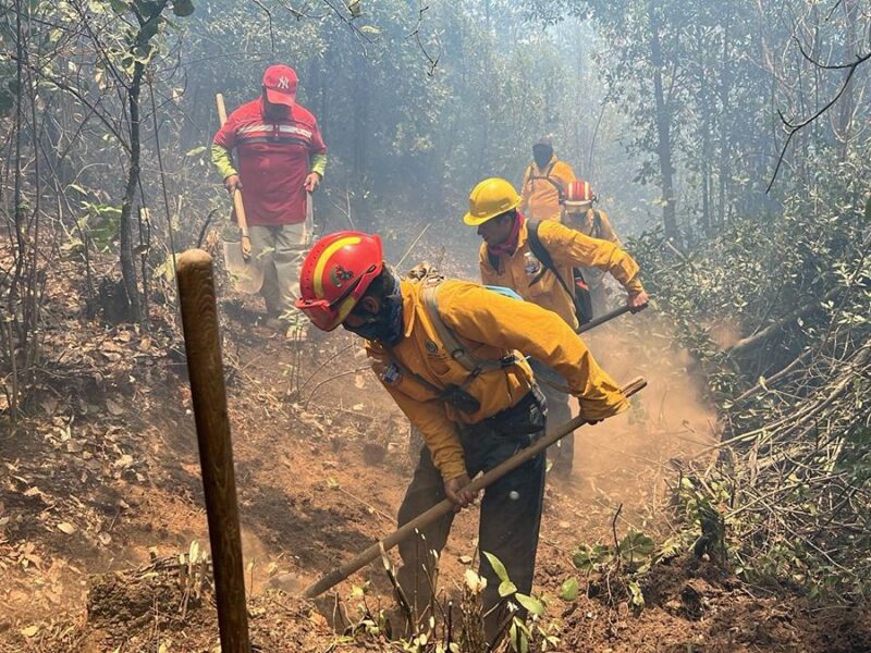 Brigadas forestales atienden 7 incendios y liquidan 2 más en Michoacán