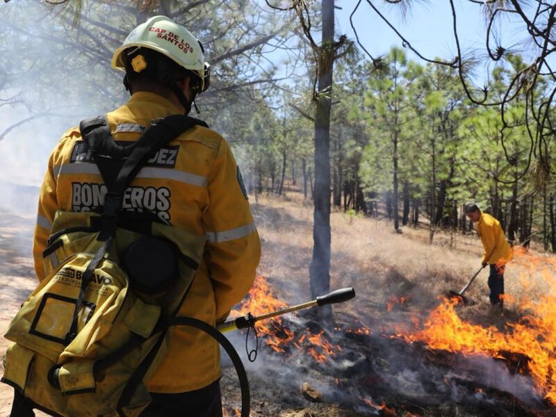Brigadistas combaten incendios forestales activos en Michoacán: Cofom