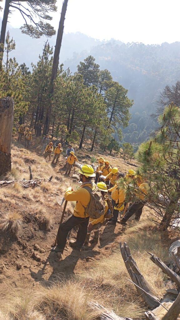 brigadistas logran control de incendios forestales en Michoacán