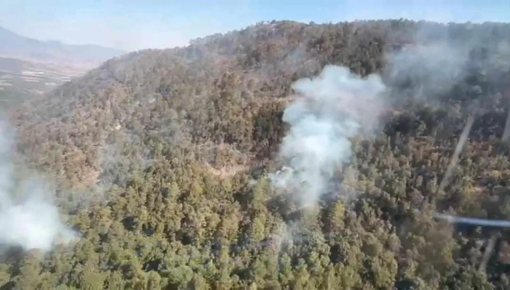 Buscan sofocar incendio en la Reserva de la Mariposa Monarca en Senguio