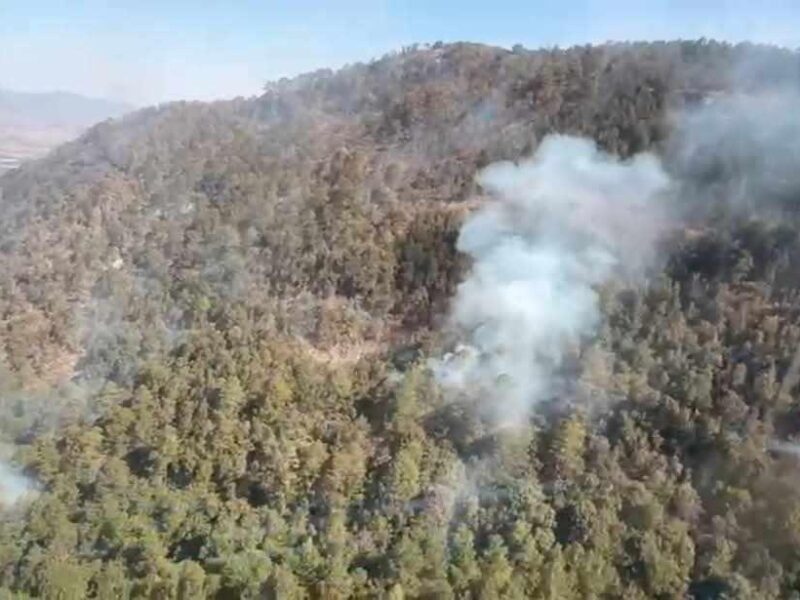 Buscan sofocar incendio en la Reserva de la Mariposa Monarca en Senguio