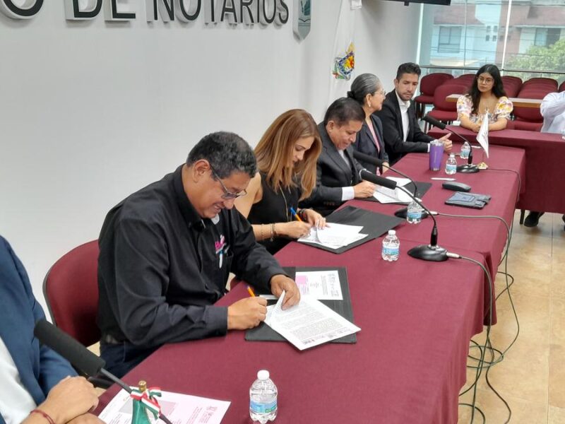 Candidatos deberán previa solicitud por escrito requerir servicios de notarios en elección del Poder Judicial