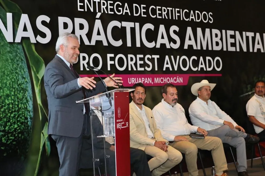 Certificado con Proforest Avocado, el 67 % del aguacate exportado a EUA: Bedolla