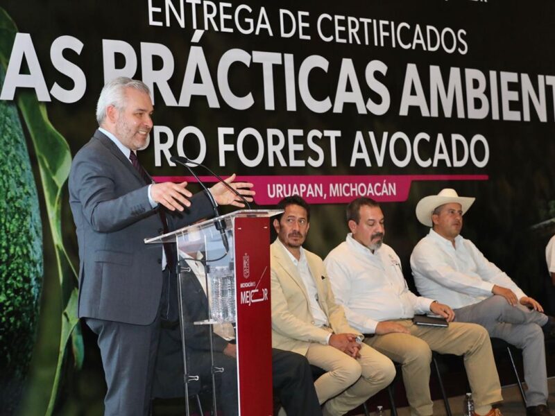 Certificado con Proforest Avocado, el 67 % del aguacate exportado a EUA: Bedolla