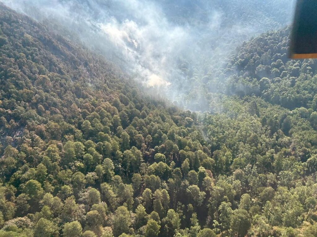 Cofom se suma a acciones contra incendio forestal en Reserva de la Mariposa Monarca