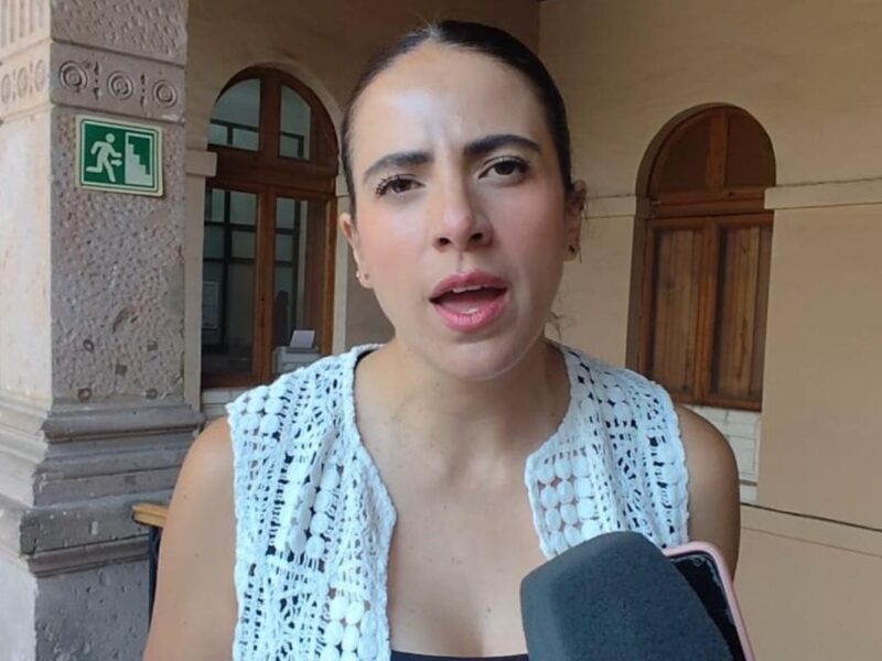 Comisiones aún no analizan reforma de apología del delito en Michoacán