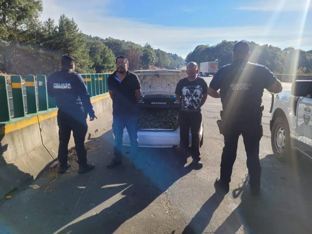 Detienen a ladrones de aguacates en Pátzcuaro 1