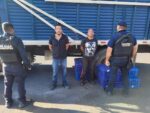 GC detiene a 2 presuntos ladrones de aguacates en la región de Pátzcuaro