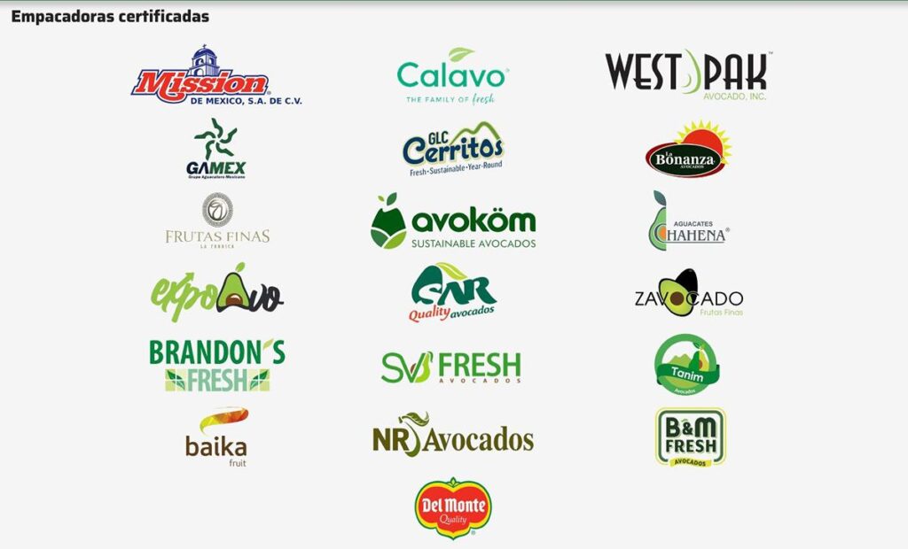 Empresa estadounidense comercializa aguacate libre de deforestación-2