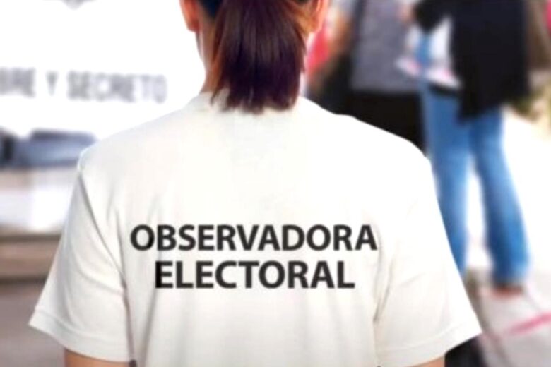 En Michoacán, Morena encabezó lista de solicitudes para observadores electorales