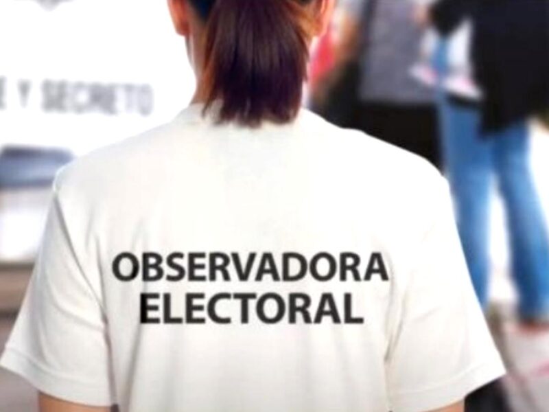 En Michoacán, Morena encabezó lista de solicitudes para observadores electorales