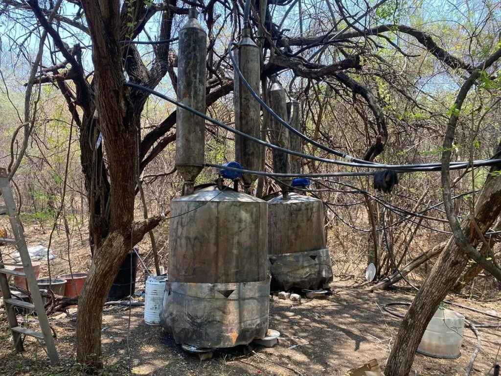 En operativo SSP y Defensa desmantelan laboratorio de drogas sintéticas en Parácuaro-1