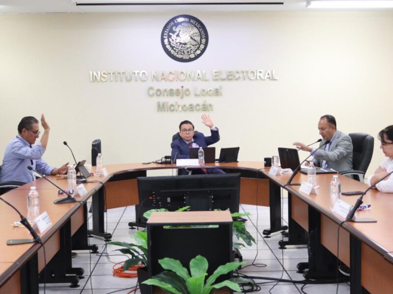Esbozan preocupación en INE sobre papel de observadores electorales