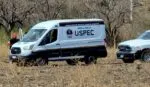 Hallan cabeza humana en Singuio, Álvaro Obregón
