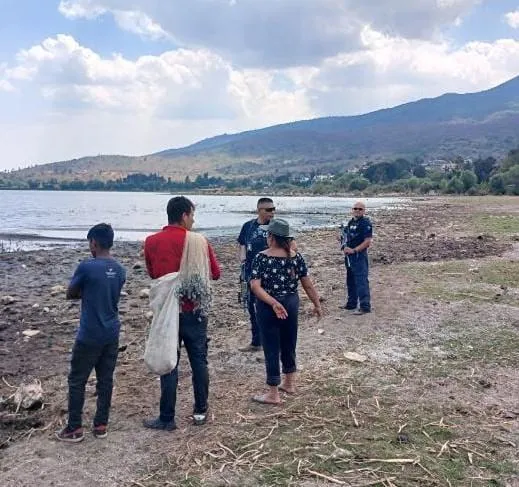 Hallan cráneo humano a pocos metros del Lago de Pátzcuaro-1