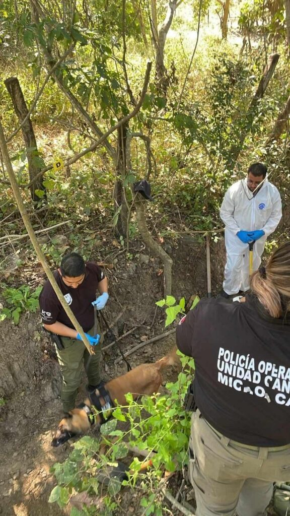 Hallan fosa clandestina en El Coire con 3 osamentas-1