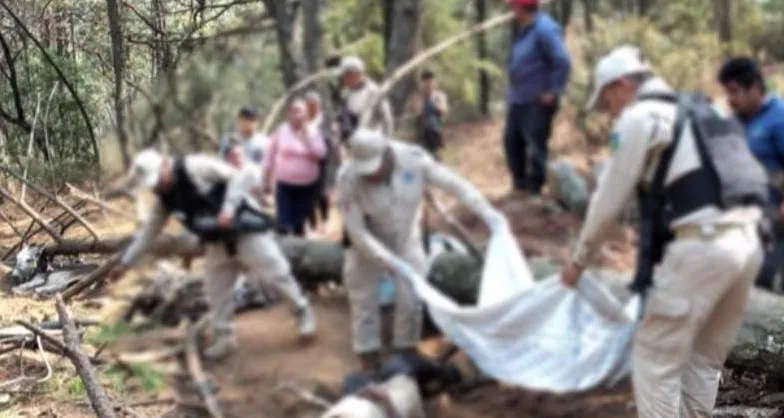 Hombre muere aplastado por árbol en Quiroga
