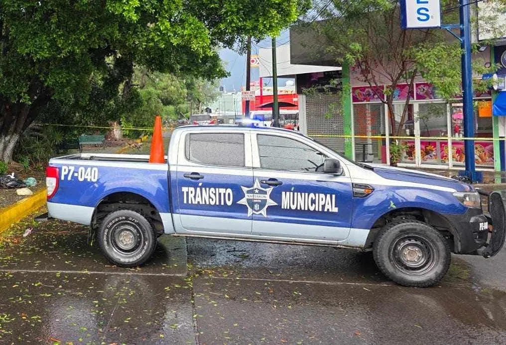 Identifican a motociclista que murió al caerle un árbol en Zamora 1