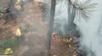 Liquidados 3 incendios en Aguililla, Lagunillas y Pátzcuaro: Cofom