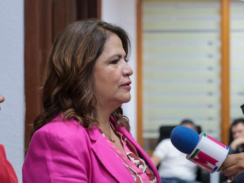 Ley contra la apología del delito no violará derecho a la libertad de expresión: Fabiola Alanís